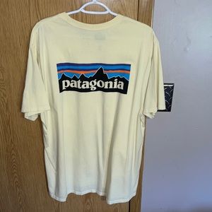 Two Patagonia t shirts lightly worn and cleaned